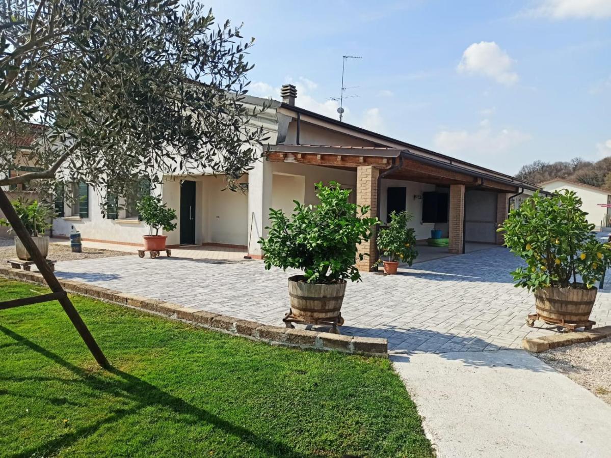La Corte Di Emma E Ale